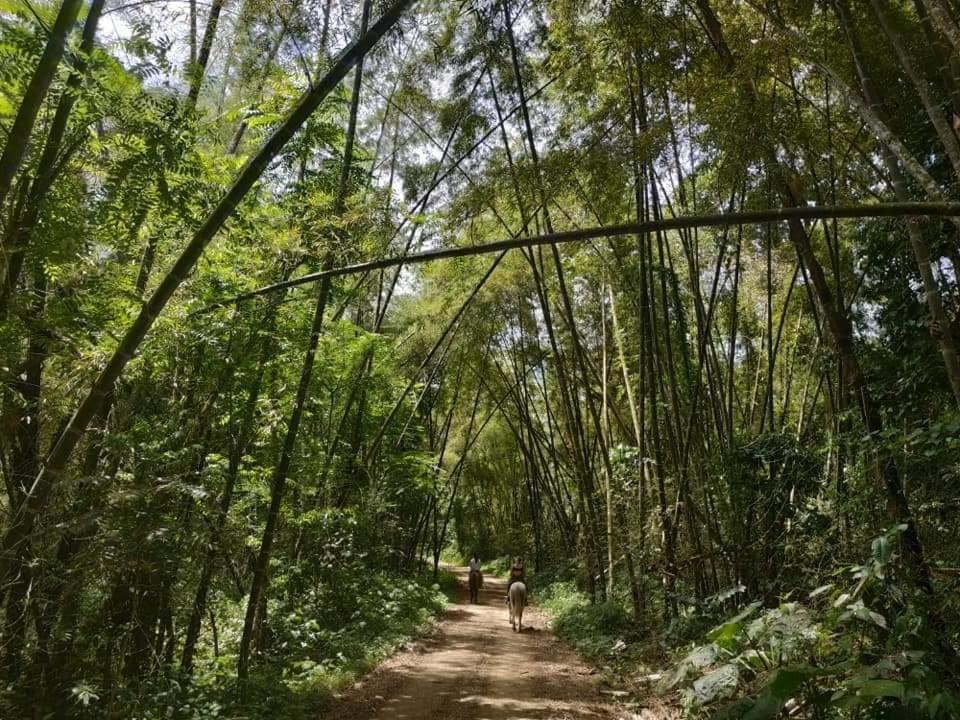 Hotel Sumpa Montañita エクステリア 写真